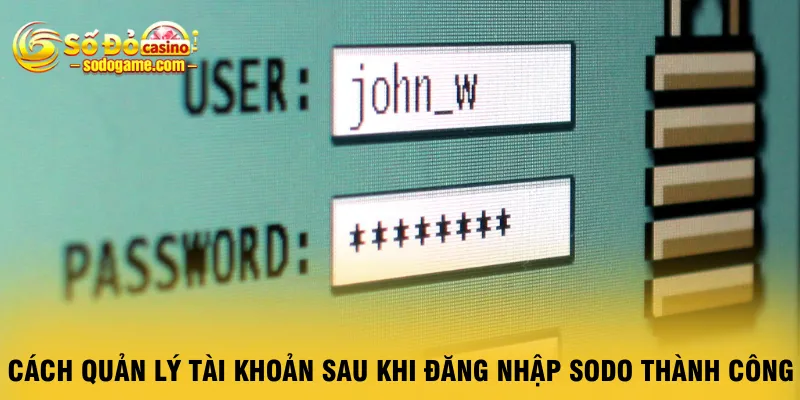 cach-quan-ly-tai-khoan-sau-khi-dang-nhap-sodo-thanh-cong