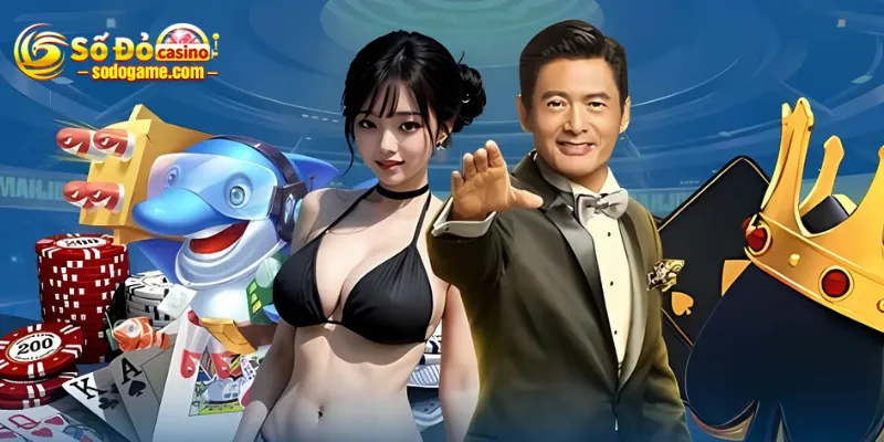 dieu-khoan-dieu-kien-sodo