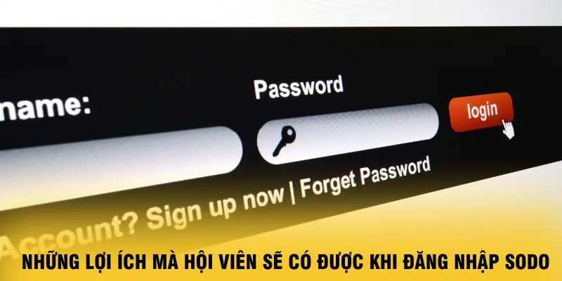 nhung-loi-ich-ma-hoi-vien-se-co-duoc-khi-dang-nhap-sodo