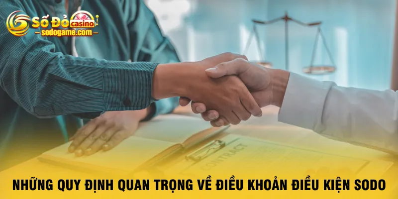 nhung-quy-dinh-quan-trong-ve-dieu-khoan-dieu-kien-sodo