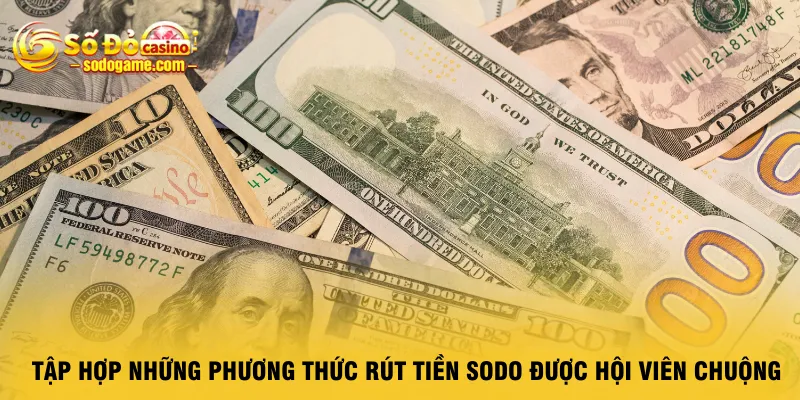 tap-hop-nhung-phuong-thuc-rut-tien-sodo-duoc-hoi-vien-chuong