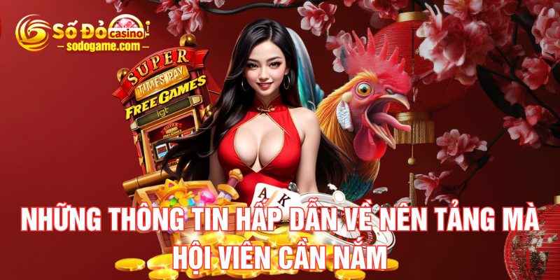 nhung-thong-tin-hap-dan-ve-nen-tang-ma-hoi-vien-can-nam